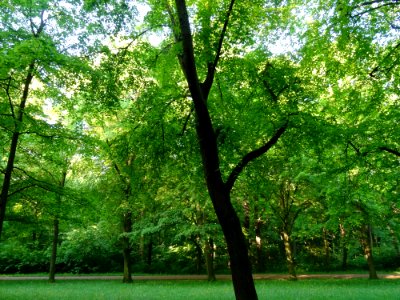 Groer Garten Park Dresden