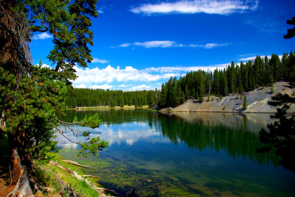 Yellowstone River, Yellowstone National Park (a UNESCO World Heritage Site, Wyoming, August 7, 2010