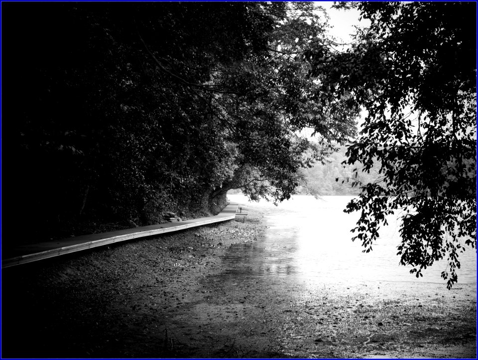 Boardwalk Around The Perimeter Of The Reservoir