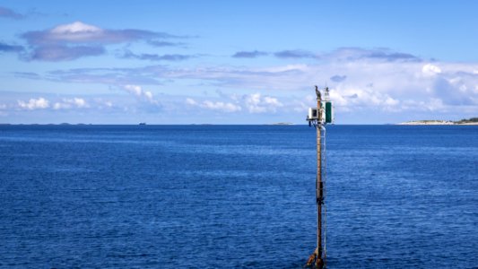 Cormorant Watchtower