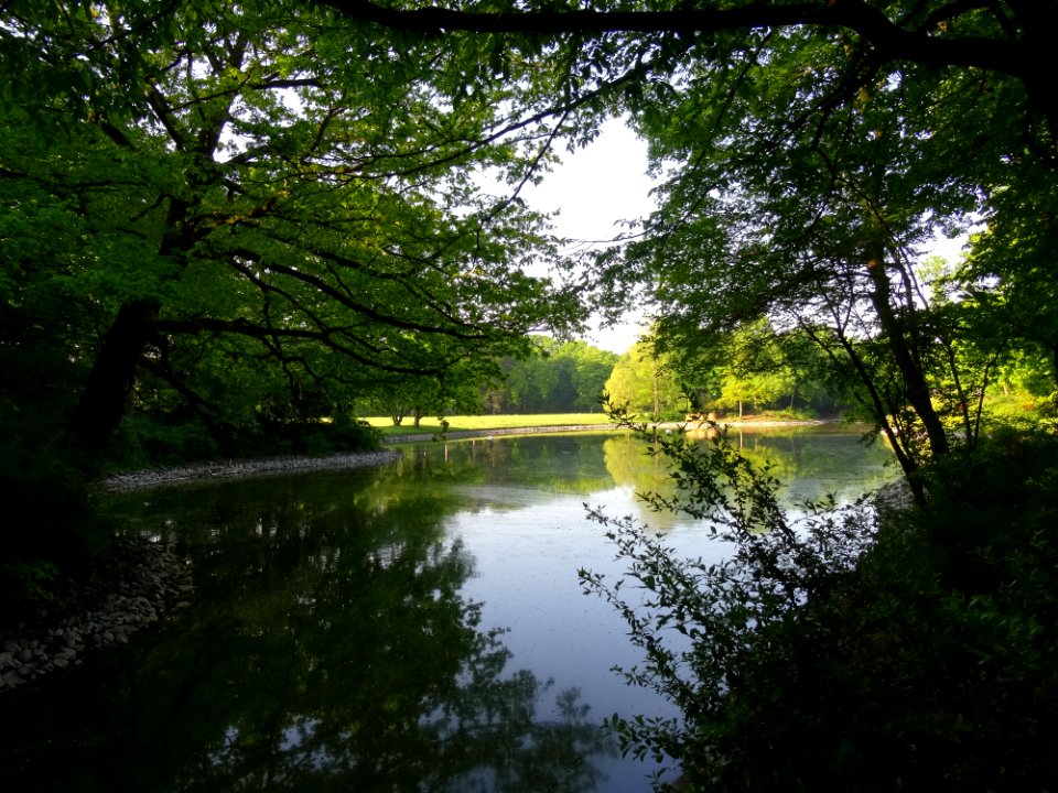 Groer Garten Park Dresden