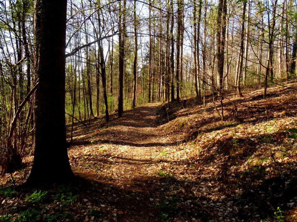 Viehleite Hill Pirna