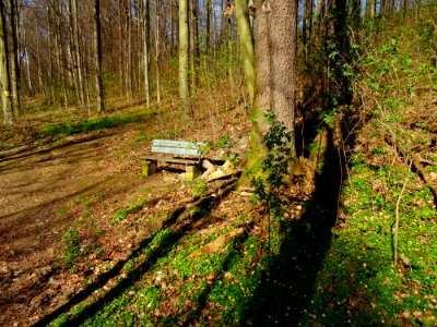 Viehleite Hill Pirna