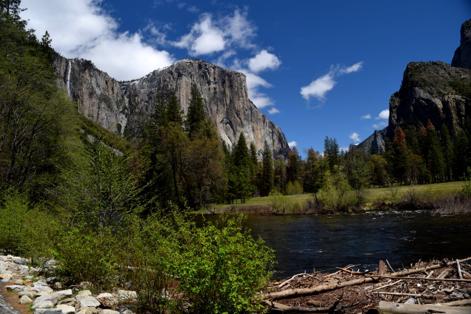 Yosemite National Park