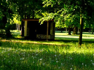 Groer Garten Park Dresden