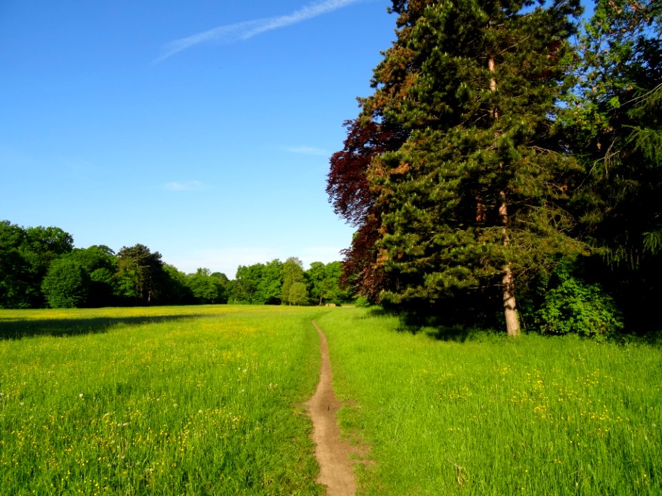 Groer Garten Park Dresden