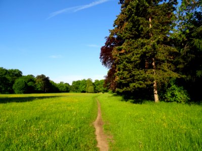 Groer Garten Park Dresden