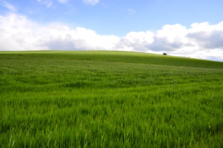 Green And Blue