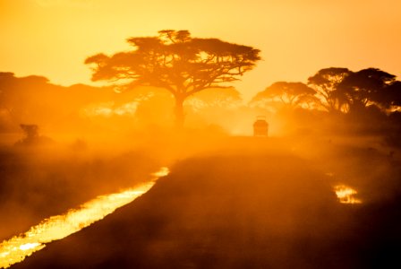 Roads Of Africa