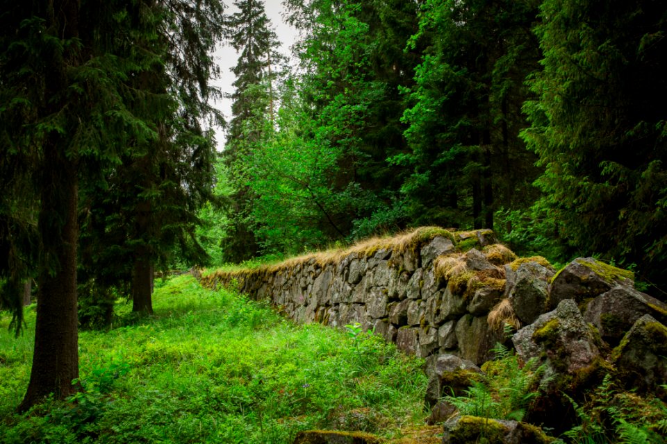 Aulanko, Hmeenlinna, Finland