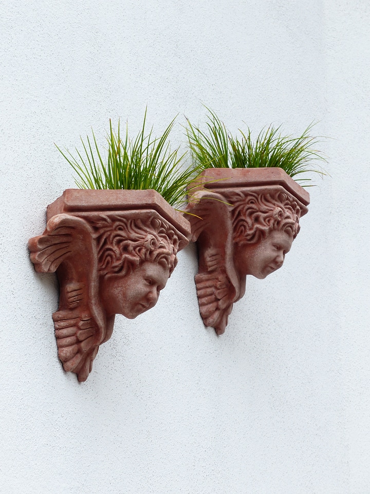 Plant planting ceramic