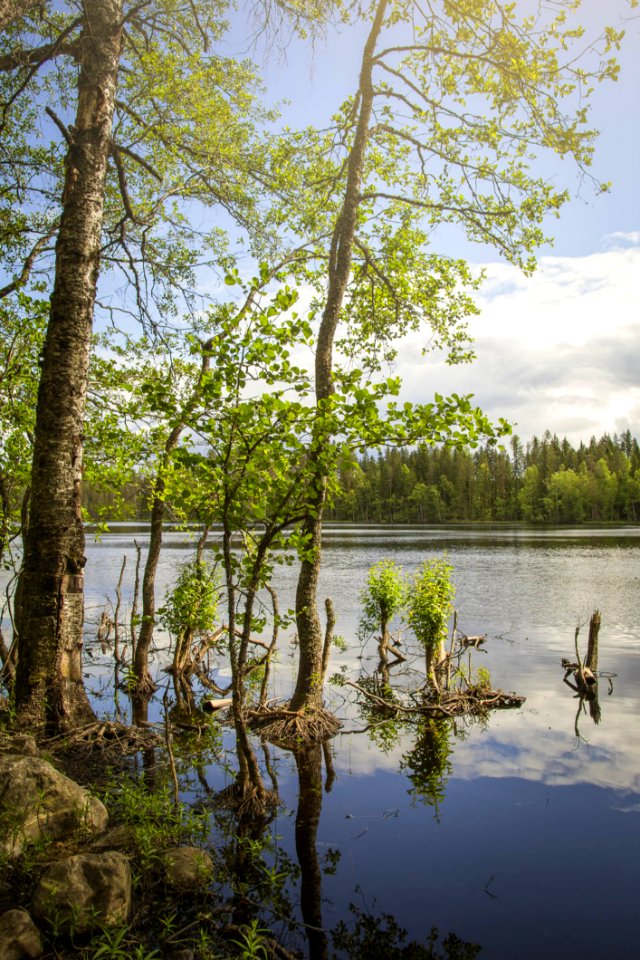 Evo Hiking Area, Hmeenlinna, Finland