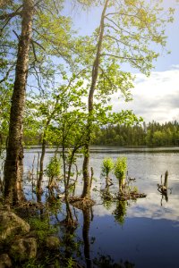 Evo Hiking Area, Hmeenlinna, Finland