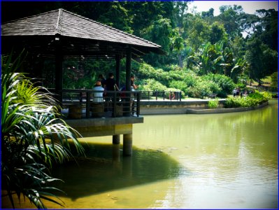 Botanic Gardens Feeding Water Creatures photo