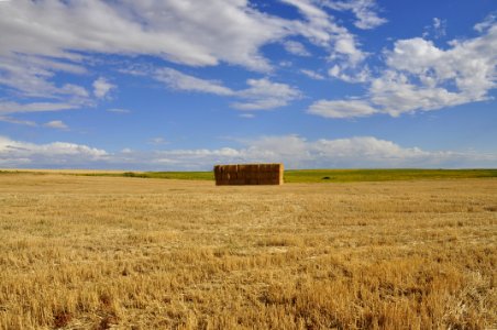 Paisaje Rural