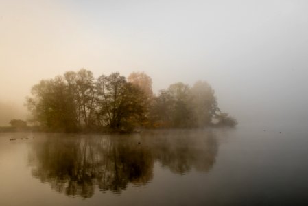 Foggy Island