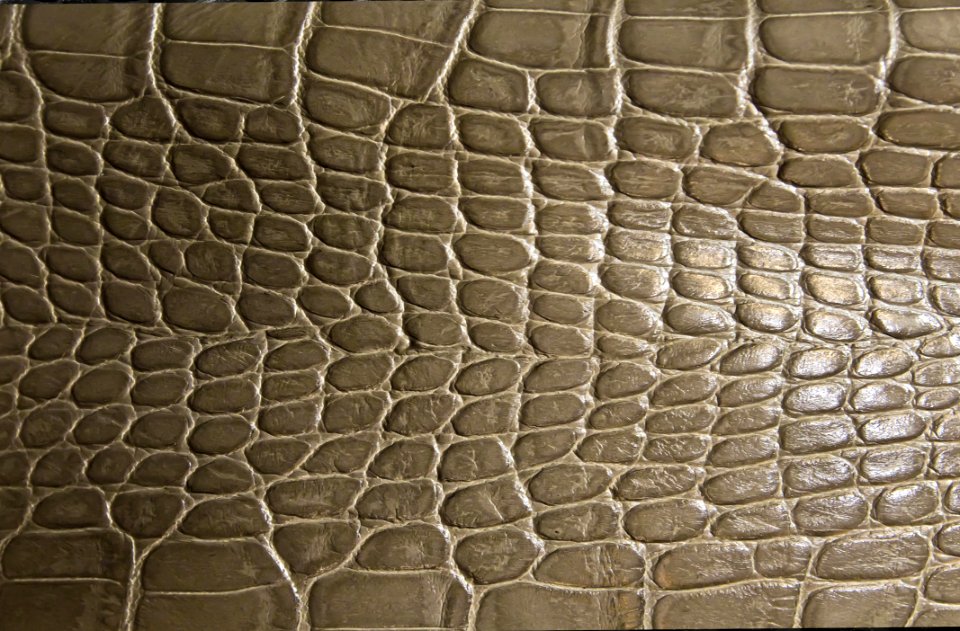 Pattern, Net
