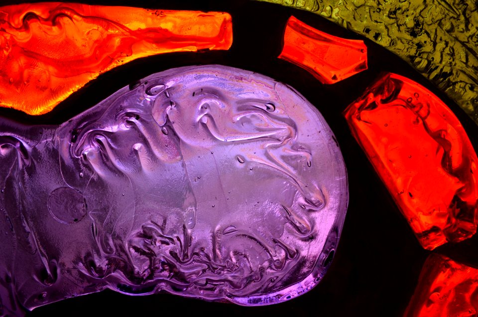 Purple, Violet, Magenta, Organism