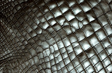 Pattern, Net, Metal, Mesh