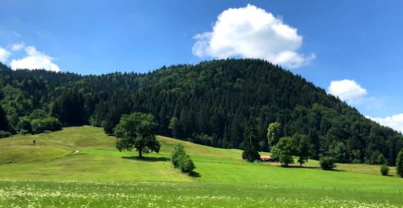 Grassland, Sky, Nature, Mountainous Landforms