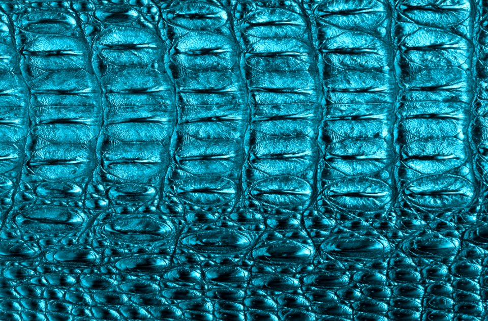 Blue, Green, Aqua, Water