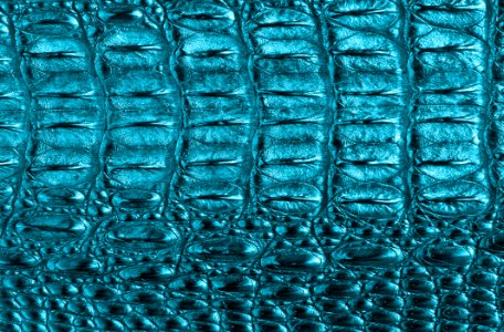 Blue, Green, Aqua, Water