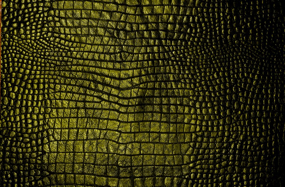 Pattern, Computer Wallpaper, Grass, Tree
