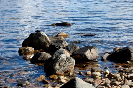 Water, Rock, Shore, Sea