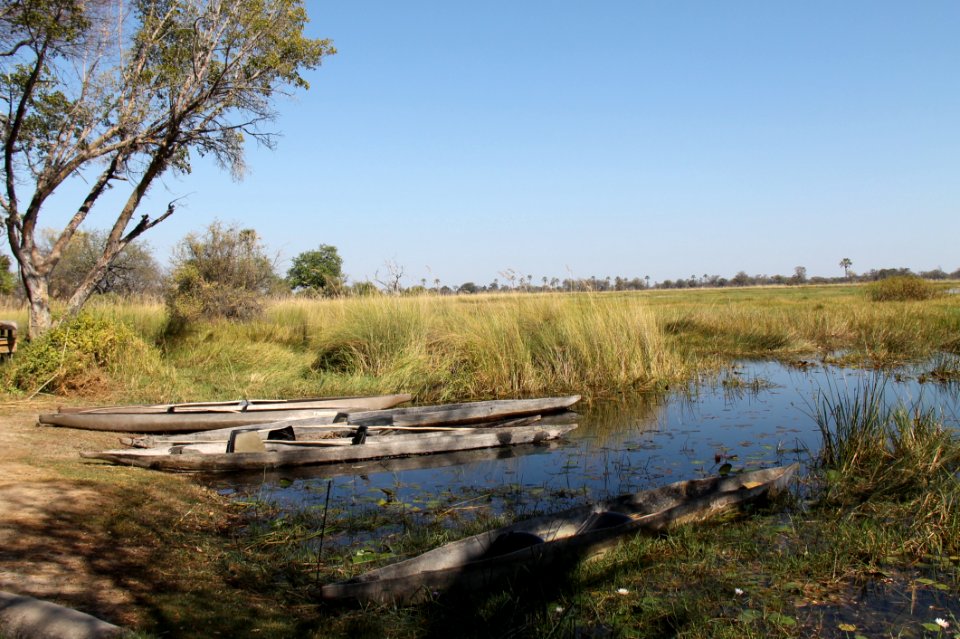 Waterway, Wetland, Ecosystem, Nature Reserve