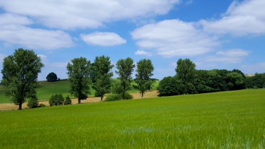 Grassland, Sky, Field, Pasture photo