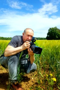 Plant, Field, Grass, Grassland