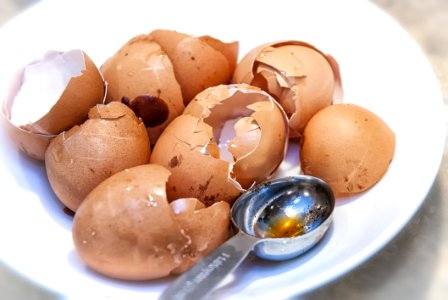 Food, Egg, Ingredient