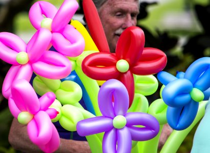 Flower, Balloon, Flora, Plant