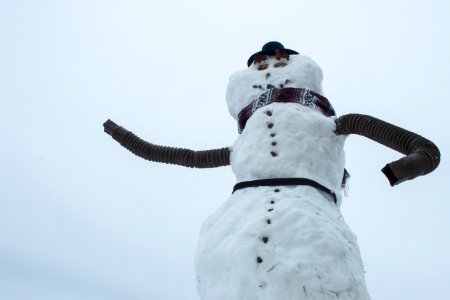 Snowman, Snow, Winter, Freezing