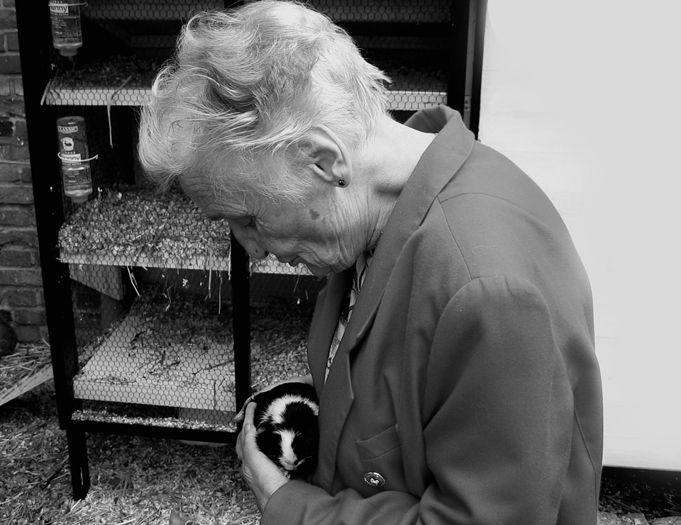 Old age alzheimer's