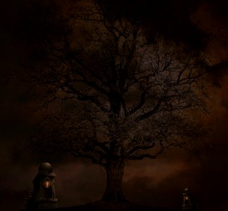 Tree, Woody Plant, Darkness, Sky photo