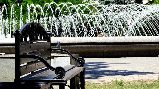 Water, Plant, Iron, Tree photo