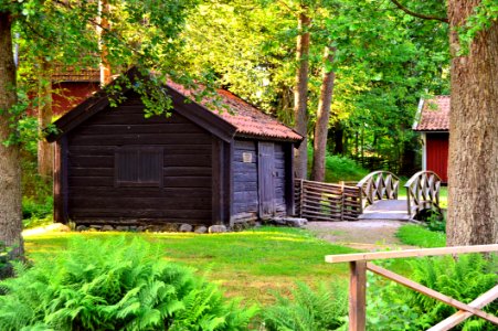 Nature, Tree, Cottage, Plant