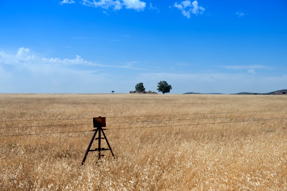 Grassland, Prairie, Ecosystem, Sky
