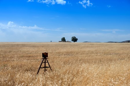 Grassland, Prairie, Ecosystem, Sky