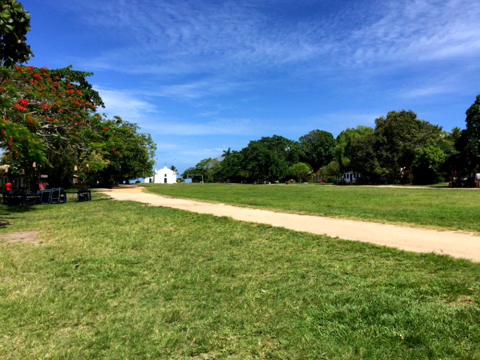 Sky, Lawn, Grass, Grassland