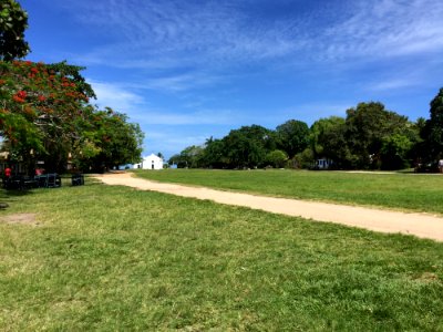 Sky, Lawn, Grass, Grassland