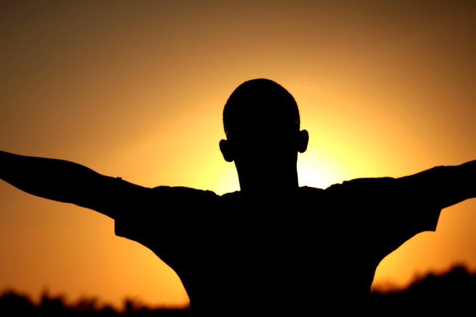 Silhouette, Sky, Sunrise, Backlighting