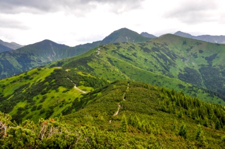 Highland, Vegetation, Ridge, Mountain photo