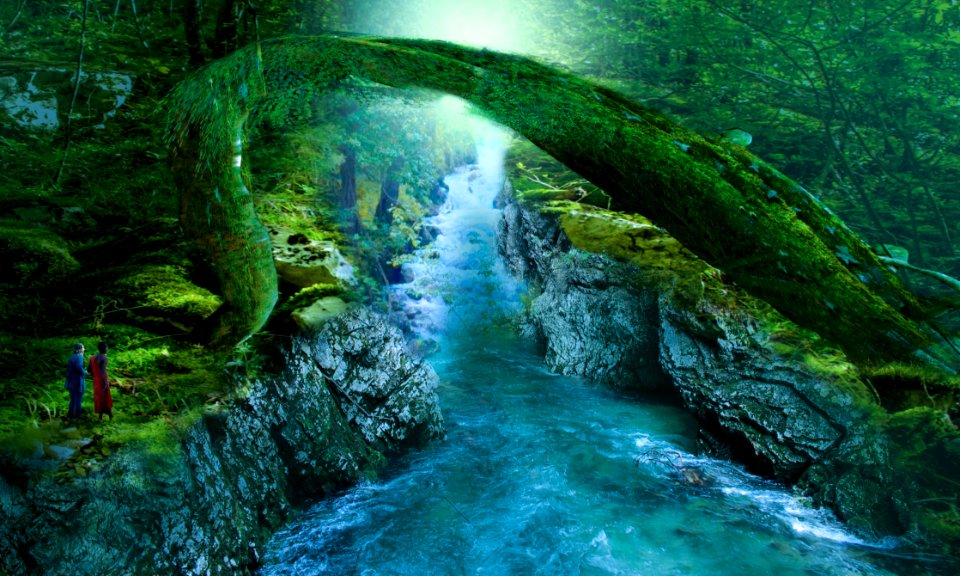 Nature, Watercourse, Nature Reserve, Water Resources