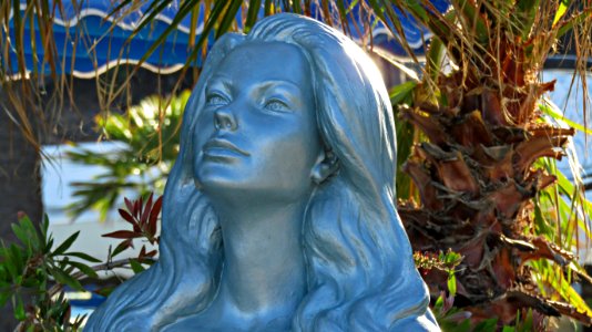 Statue, Sculpture, Tree, Plant
