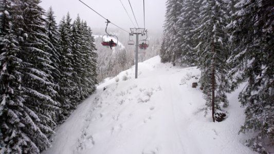 Snow, Winter, Piste, Tree photo