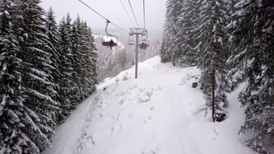 Snow, Winter, Piste, Tree