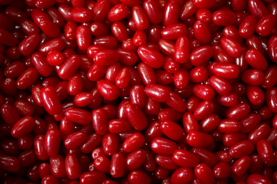 Natural Foods, Azuki Bean, Cranberry, Local Food