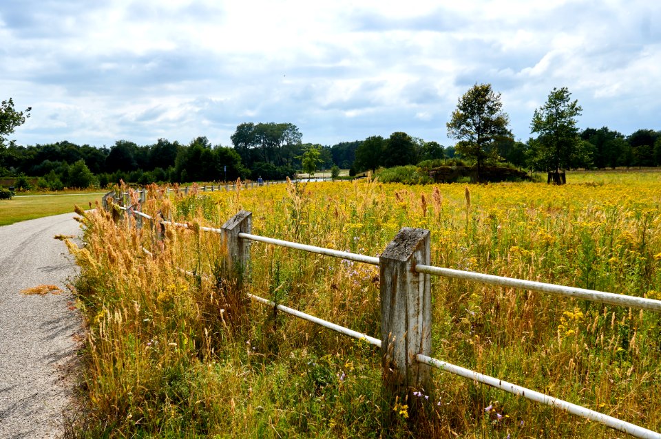 Grassland, Pasture, Field, Nature Reserve